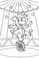 Circus Coloring Pages Drawing Animal Animals Ban Carnival Easy Printable Colouring Circuses Government Wild January Sheets Elephant Choose Board Getdrawings sketch template