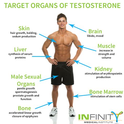 signs of low testosterone infinity medical institute