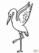 Stork Coloring Pages Clipart Storks Taking Off Printable Color Drawings Clipartbest Popular Coloringhome sketch template