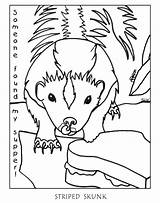 Possum Coloring Skunk Pages Opossum Flower Color Clipart Printable Vector Kansas Chiefs City Australian Library Popular Getcolorings Getdrawings Coloringhome Colouring sketch template