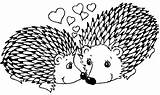 Hedgehogs Coloring Hedgehog Pages Drawings sketch template