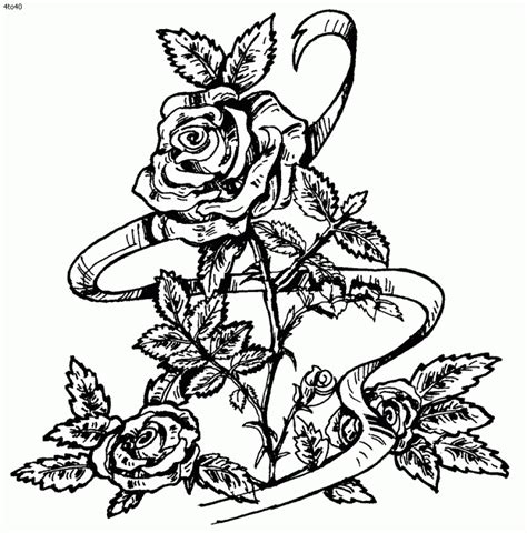 printable roses coloring pages  adults