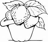 Strawberries Fresas Dibujos sketch template