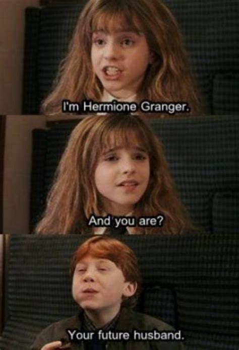i m hermione granger hermione granger funny pictures