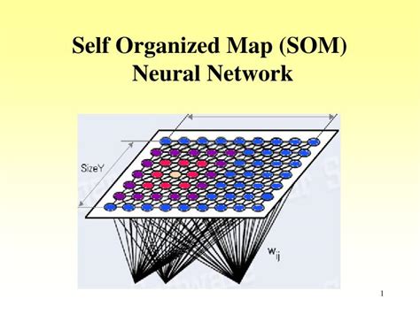 Ppt Self Organized Map Som Neural Network Powerpoint