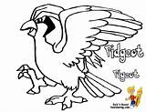 Pages Coloring Mega Pokemon Pidgeot Search Google Life Project Colouring sketch template