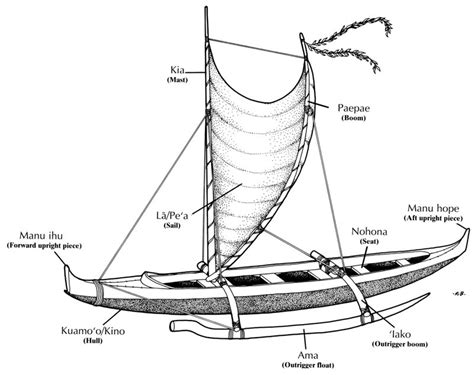 canoe anatomy