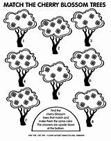 Cherry Coloring Pages Tree Jam Drawing Popular Blossoms Getdrawings sketch template