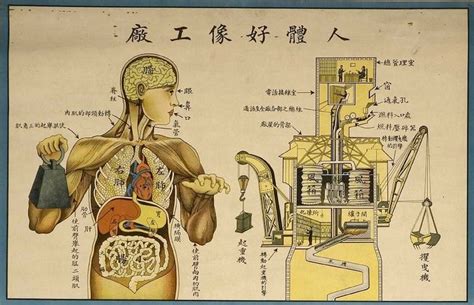 Retro Educational Posters Reimagine The Human Body As A Factory