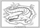 Crocodile Worksheet sketch template