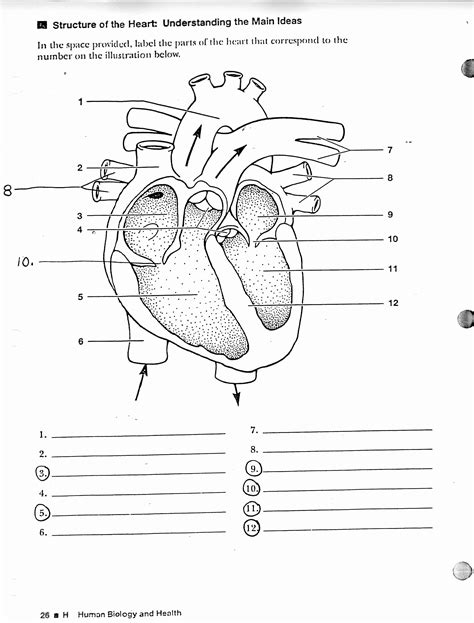 teach child   read human heart printable worksheets