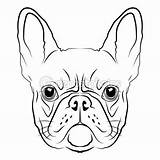 Frances Dibujo Perros Perro Francés Bulldogs sketch template