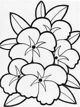 Coloring Pages Flower Petals Popular sketch template