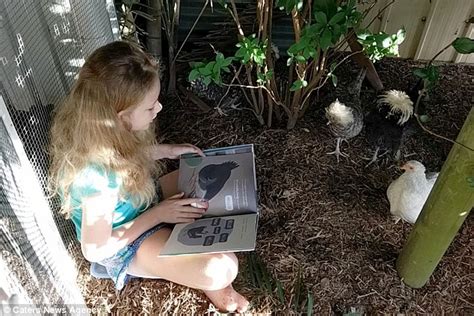 therapy chickens helps autistic girl s confidence and social skills