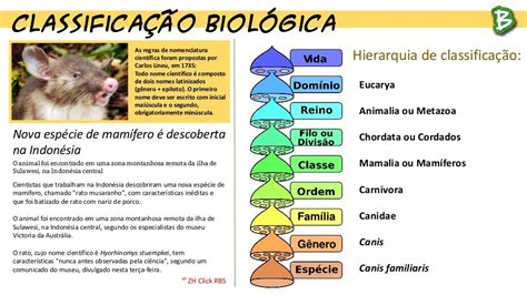 Revisão De Biologia 03 Enem 2015