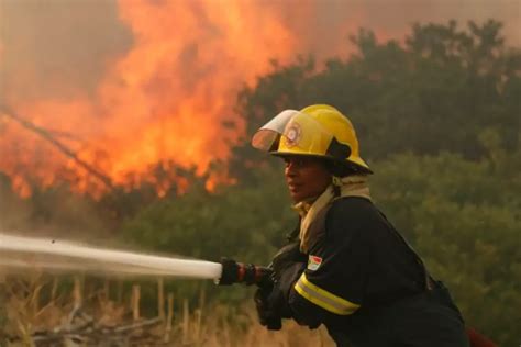 south african firefighters in canada council on foreign relations