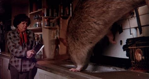 Zisi Emporium For B Movies The Food Of The Gods Giant Rats