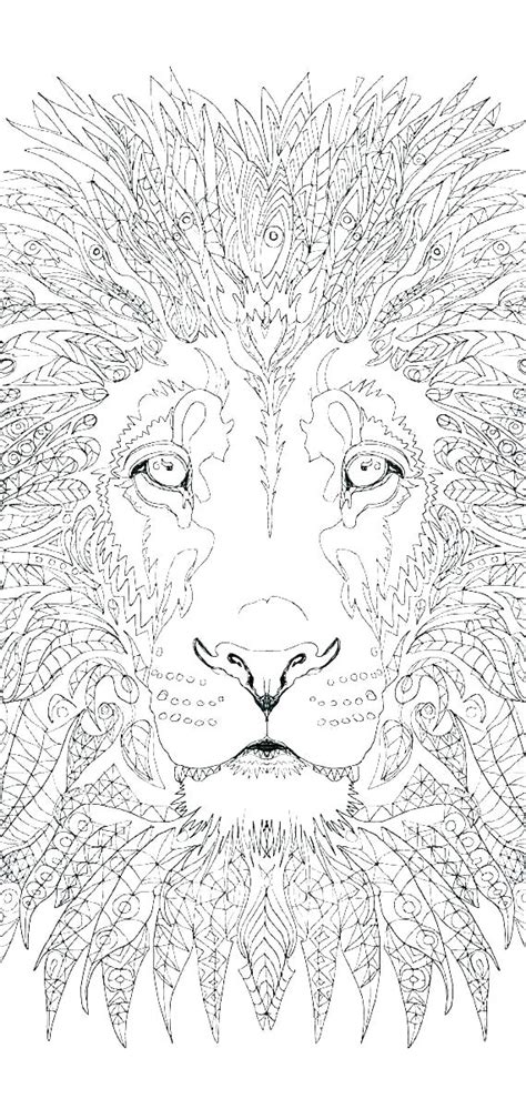lion  witch   wardrobe colouring pages lions coloring