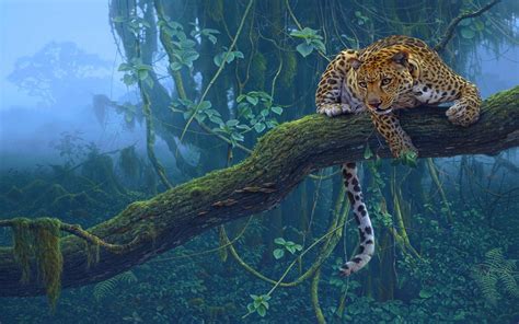 nature trees jungle animals leopards wallpapers hd desktop