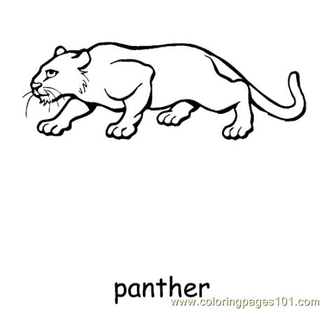 panther coloring page  printable coloring pages