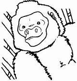 Apen Kleurplaten Dieren Mewarnai Monkeys Monyet Coloriages Affen Singes Animasi Bergerak Scimmie Downloaden Kleurplatenwereld Animate sketch template