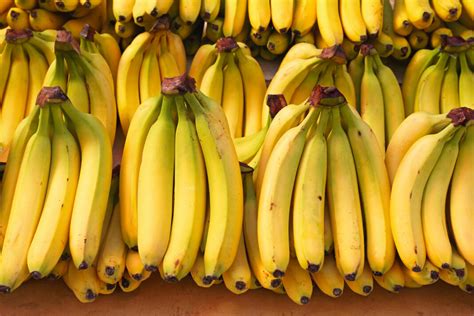 Internacional Las Exportaciones De Banano De Honduras Muestran Una