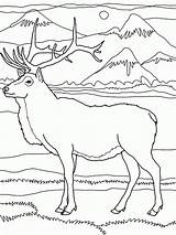 Coloring Elk Rocky Pages Mountain Mountains Drawing Pencil Part Color Drawings Popular Deer Getdrawings Coloringhome sketch template
