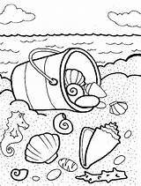 Coloring Shells Sea Pages Shell Seashell Conch Drawing Printable Line Getdrawings Getcolorings Color sketch template