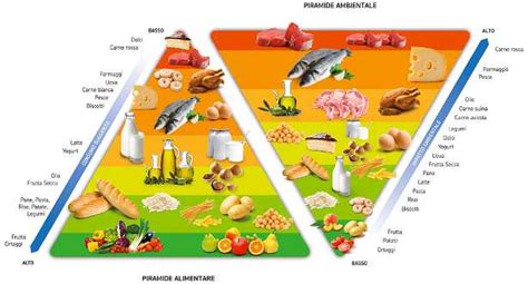 la doppia piramide alimentare idee green