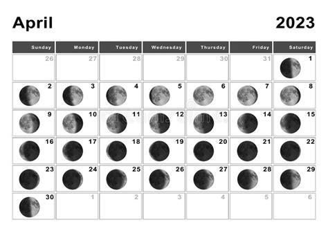 moon phase calendar  stock illustrations  moon phase calendar
