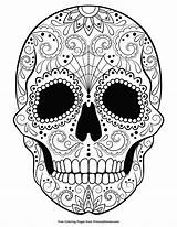 Coloring Sugar Skull Pages Halloween Skulls Adult Printable Colouring Adults Book Mandala Ebook Primarygames Books Word Advanced Dead Ausmalbilder Witch sketch template