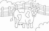Cow Barnyard Coloring Color Folk Pages Weefolkart Farm Moo Old Applique sketch template