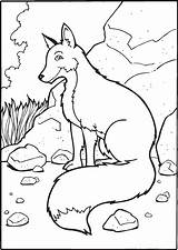Coloring Fox Pages Printable Kids Popular sketch template