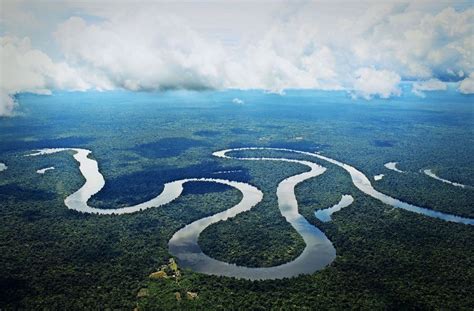 amazonas kreuzfahrten amazonas sudamerika erkunden vetter touristik logo  famosa amazonas