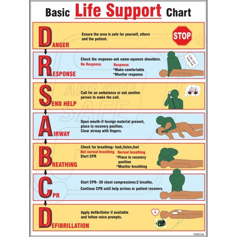basic life support chart cyberft