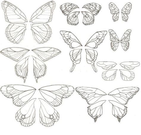 sketch butterfly wings google search butterfly drawing