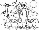 Coloring Shepherd Sheep Good Pages Jesus Kids Shepherds Lost Am Australian Baby Clipart Printable Drawing Minecraft Color Getcolorings Visit Christmas sketch template