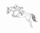 Jumping Pferde Zeichnen Pferd Skizze Pencil Springpferde Skizzen Reiten Skizzieren Springendes Ausmalen sketch template
