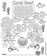 Coral Reef Coloring Pages Enchantedlearning Ocean Kids Activities Plants Sheets Printable Biome Enchanted Learning Drawing Biomes Coverpage Coralreef Color Fish sketch template