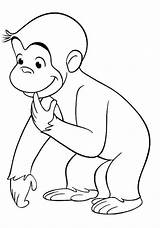 Affe Curious Ausmalbilder Kartun Mewarnai Monyet Lucu Affen Tokoh Malvorlagen Curioso Neugierige Cartoon Halloween Gorilla Desenhos Bestappsforkids Colorir Terlengkap Binatang sketch template