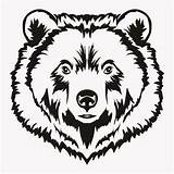 Bear Face Outline Grizzly Drawing Head Vector Clip Cartoon Illustrations Illustration Drawn Hand Clipartmag Emblem Mascot Wild Animal Shirt Drawings sketch template