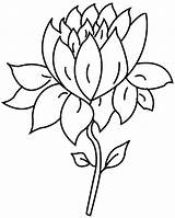 Flower Lotus Coloring Drawing Pages Single Outline Coloring4free Color Print Flowers Printable Colouring Clipart Cliparts Handmade Tattoo Clip Getcolorings Preschoolers sketch template