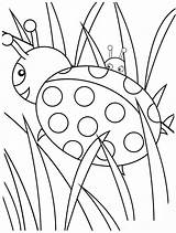 Colorat Gargarita Planse Ladybug Bug Sheets Coccinelle Coloriage sketch template