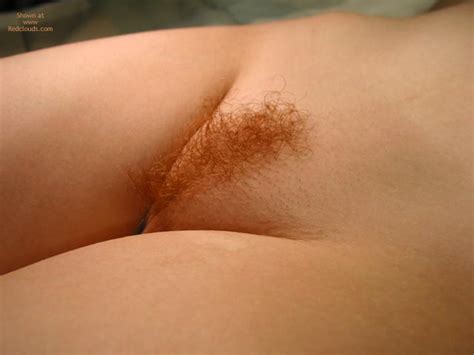 pre pube pussy mound