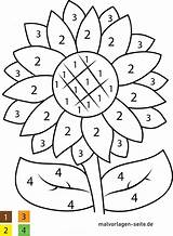 Zahlen Malen Blume Blumen Malvorlage Vorschule Erwachsene Kleinkinder Schmetterling Tolle sketch template
