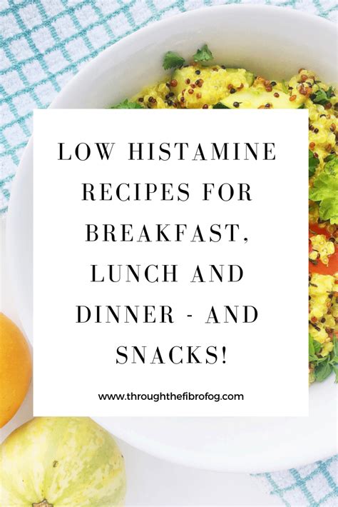 histamine recipes  histamine diet elimination diet recipes