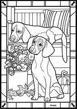 Pages Coloring Colouring Vizsla Dogs Kids sketch template
