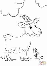 Goat Cartoon Coloring Pages Cute Drawing Printable Goats Animals sketch template
