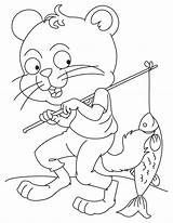 Fishing Cat Coloring Pages sketch template