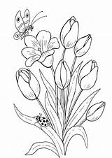 Coloring Tulip Gambar Flowers Mewarnai Indiaparenting sketch template
